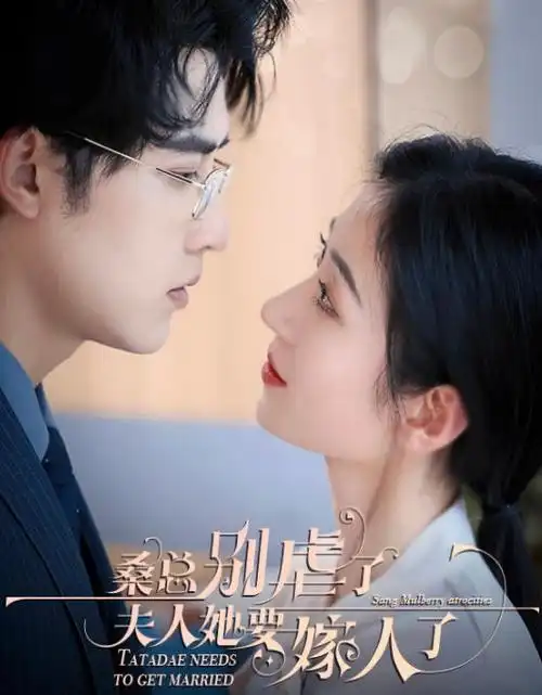 长夜灯火 热播电视剧全集免费观看